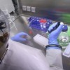 Mensagem falsa de vírus ebola no Brasil se espalha na internet ebola-brasil-boato