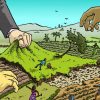 A relação entre a ação social e a acumulação primitiva acumulação primitiva de capital