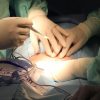 Israel admitiu que patologistas extraíram órgãos de palestinos sem o consentimento de suas famílias orgaos-palestinos