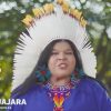 Ministra diz que indígenas preservam 80% da biodiversidade do planeta ministra-diz-indigenas-preservam-biodiversidade-planeta