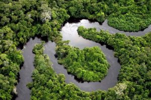 Desmatamento cai 30% na Amazônia e registra primeira queda em 5 anos no Cerrado, diz Inpe desmatamento-cai-amazonia-registra-primeira-qued-anos-cerrado-inpe