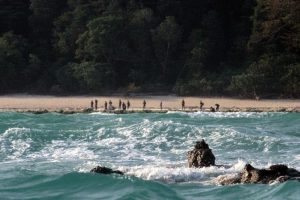 Influencer é preso após tentar invadir ilha do povo mais isolado do mundo sentinela-do-norte